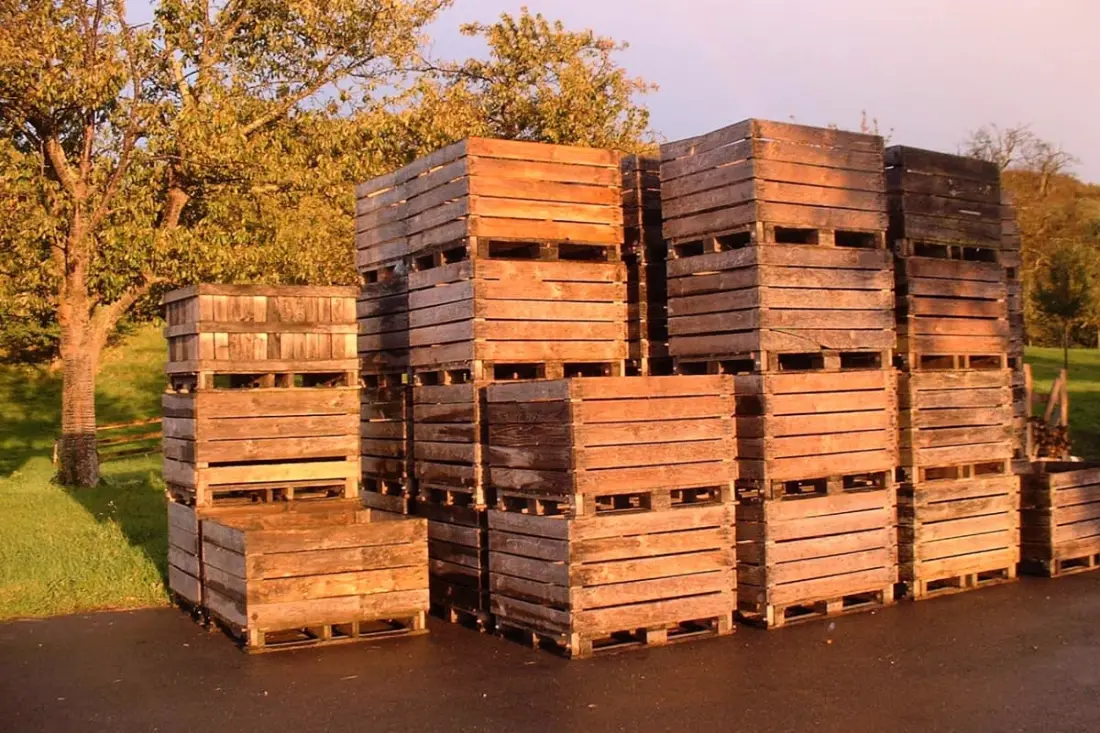 🍎 La Bergeronnette - Domaine D'apreval - Campagne