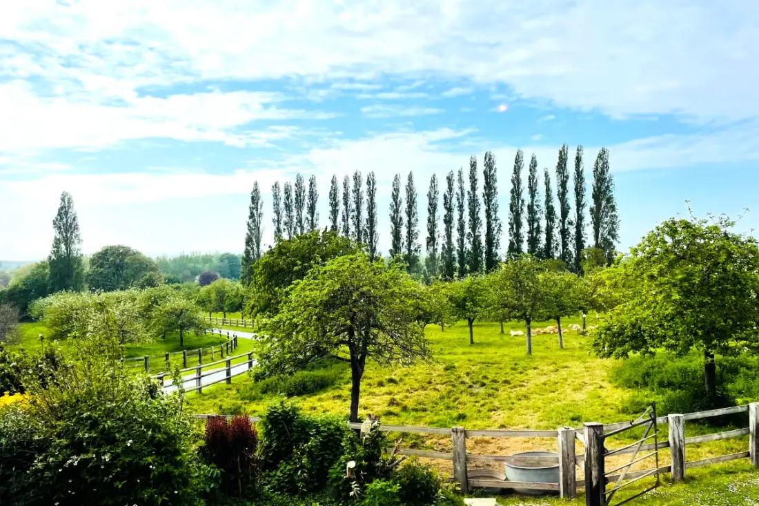 🍎 La Bergeronnette - Domaine D'apreval - Campagne
