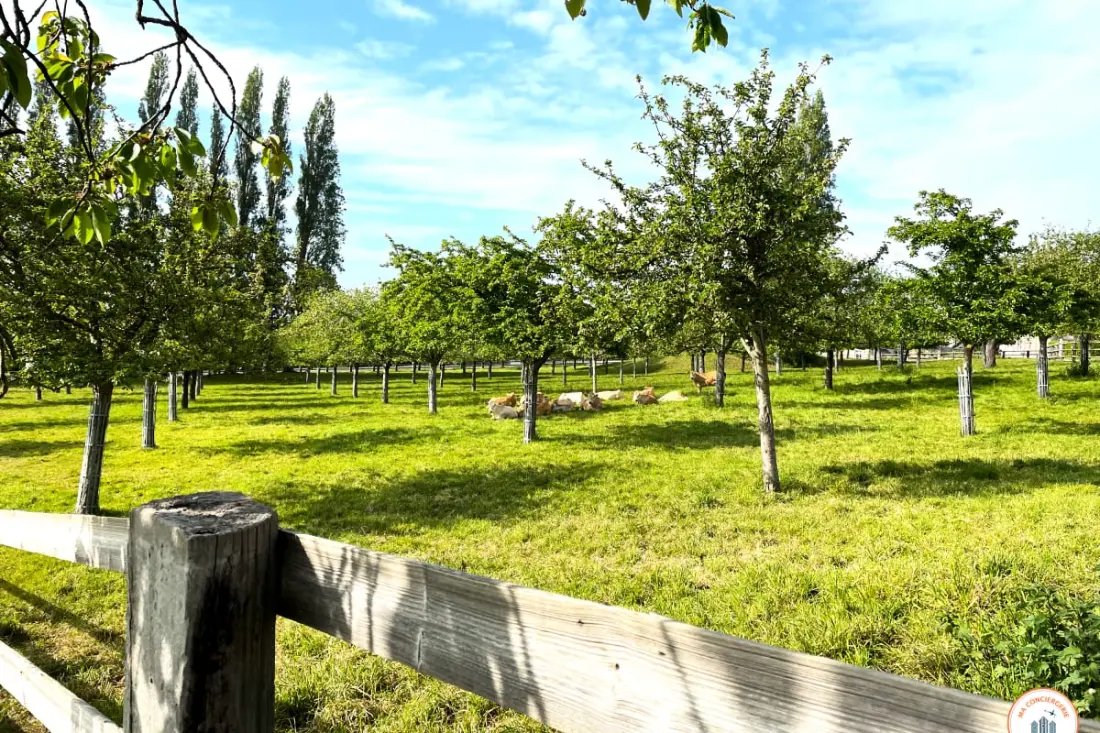 🐦 La Hulotte - Mer Et Campagne - Domaine D'apreval