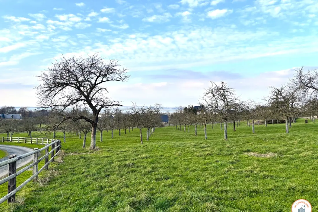 🐦 La Hulotte - Mer Et Campagne - Domaine D'apreval