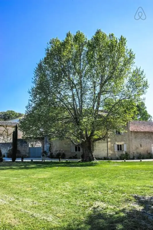 Superbe Mas Provencal Avec Piscine Chauffée