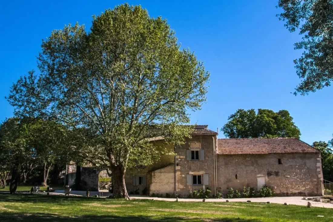 Superbe Mas Provencal Avec Piscine Chauffée