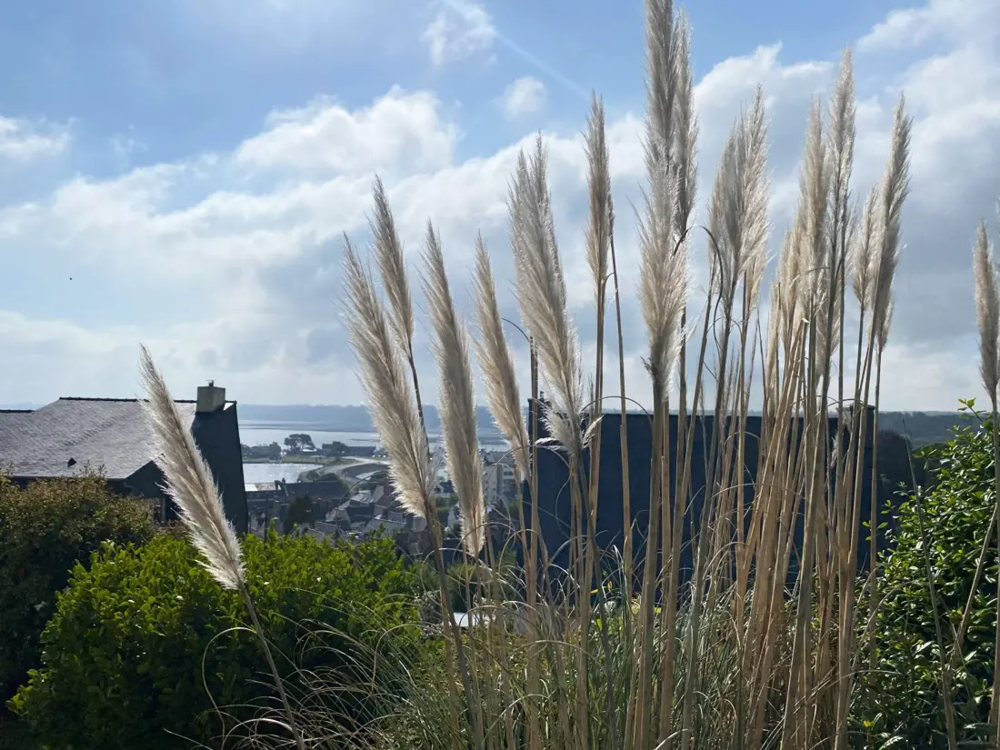 Maison de Vacances Perros-Guirec 246