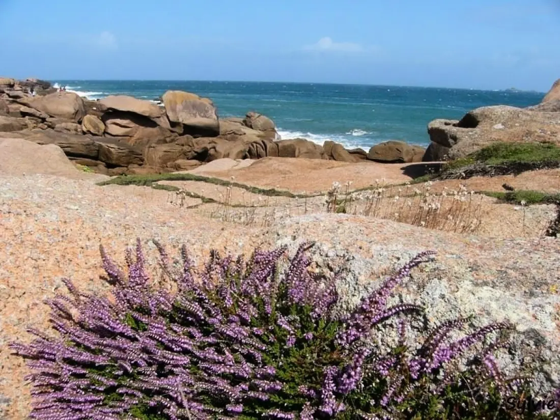 WEST CAMPING 3 étoiles★★★