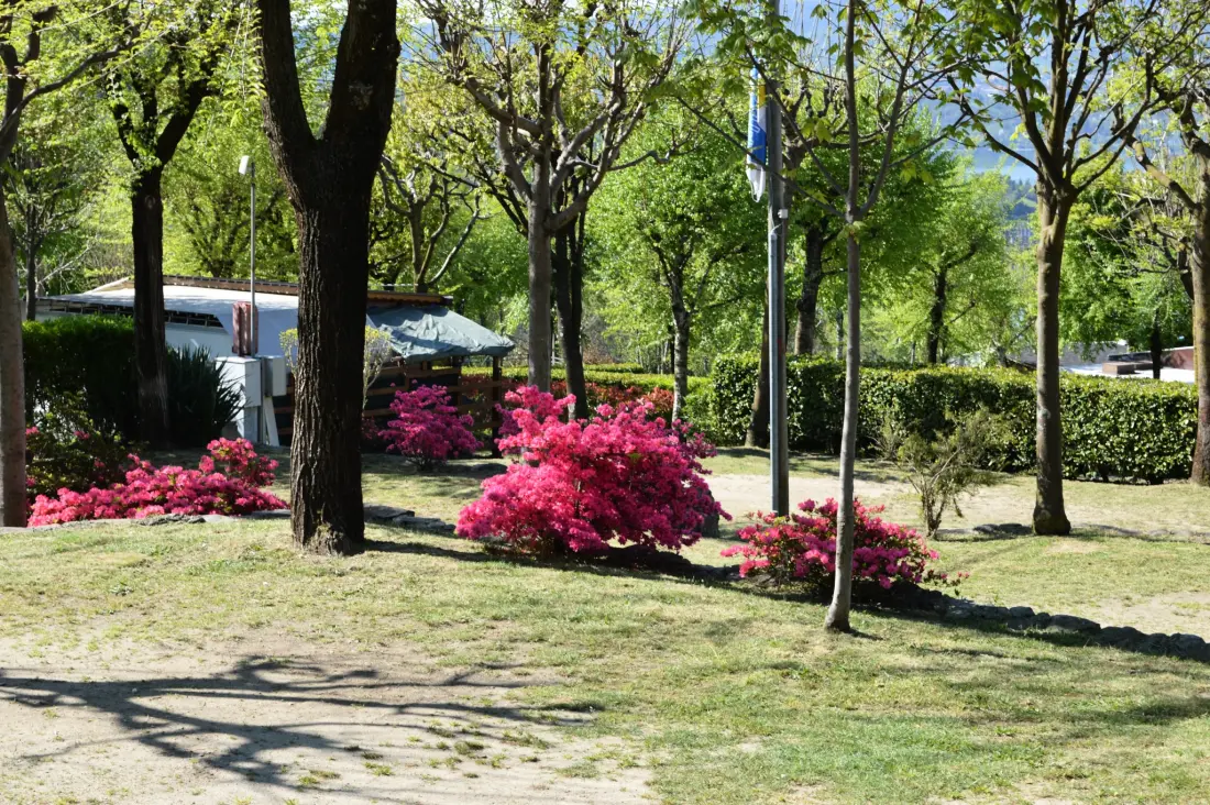 Camping Royal 2 étoiles★★