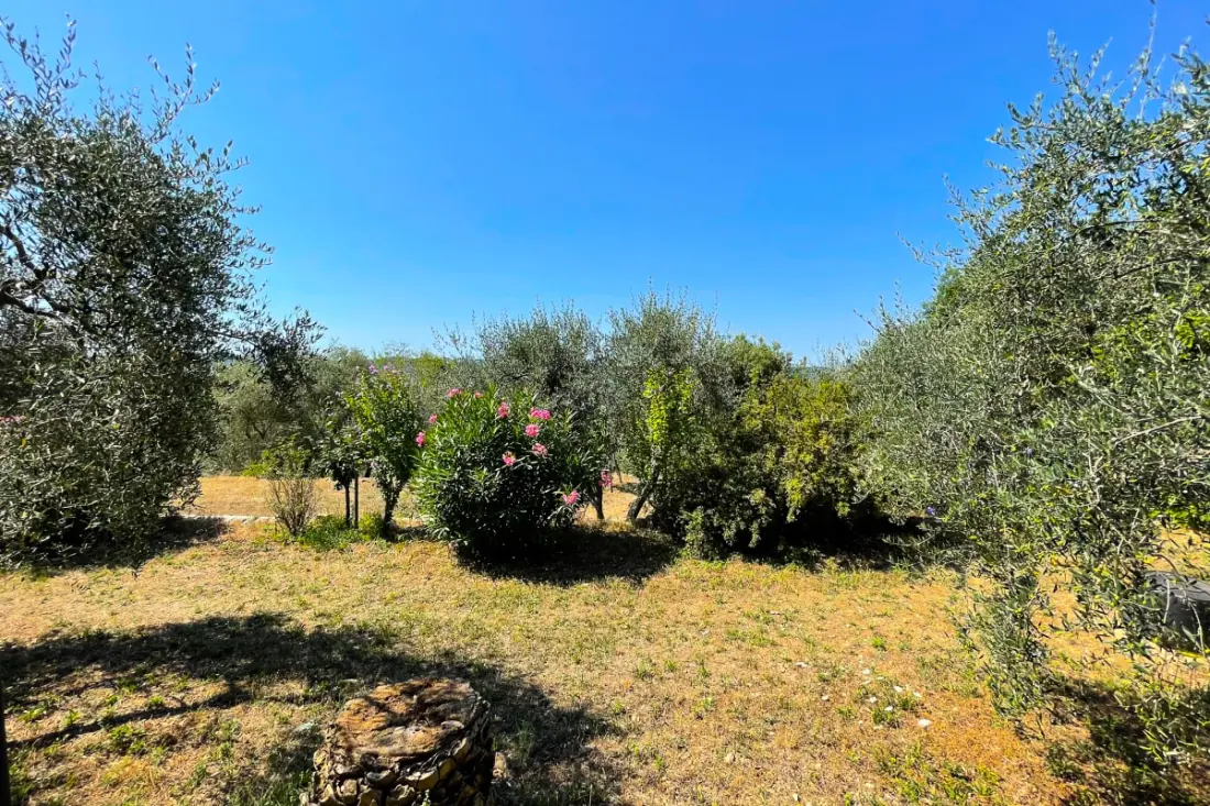 Mas Provençal 6 Pers Peymeinade Près De Cannes