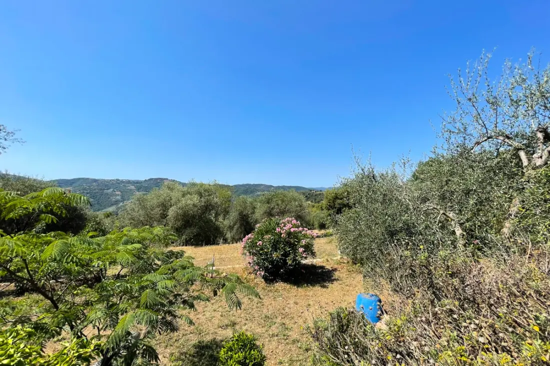 Mas Provençal 6 Pers Peymeinade Près De Cannes