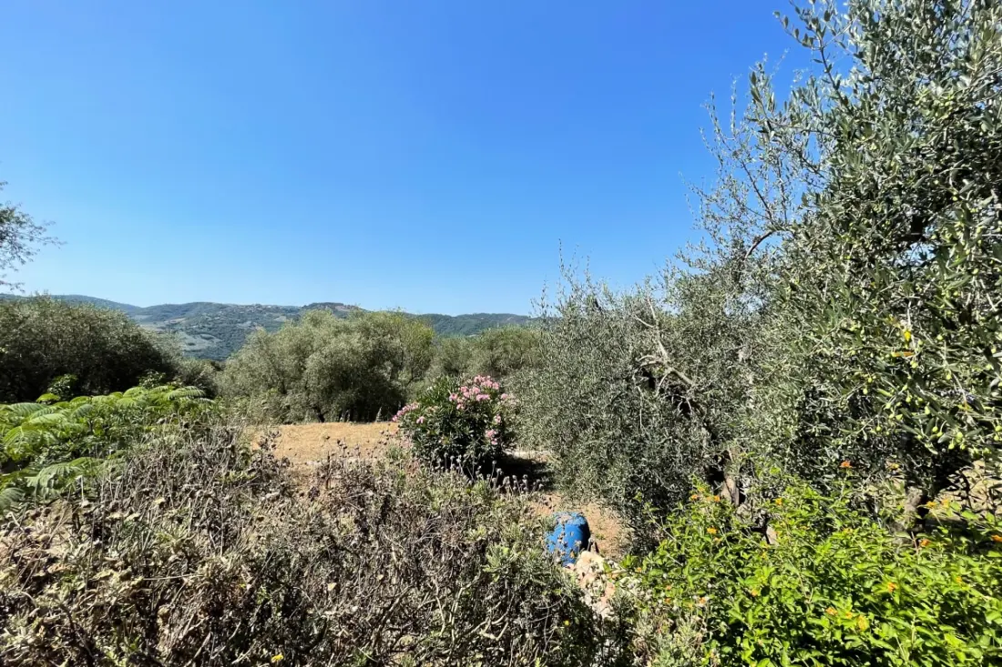 Mas Provençal 6 Pers Peymeinade Près De Cannes