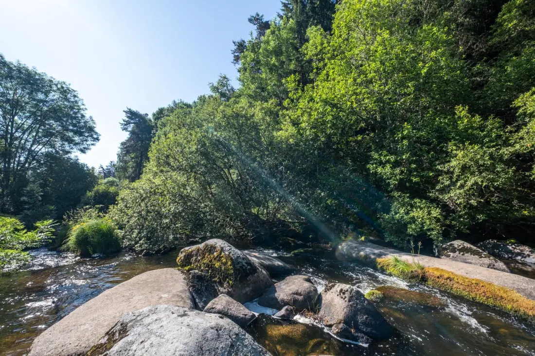 Gîte de France Le moulin du chambon 4 pers 3 épis