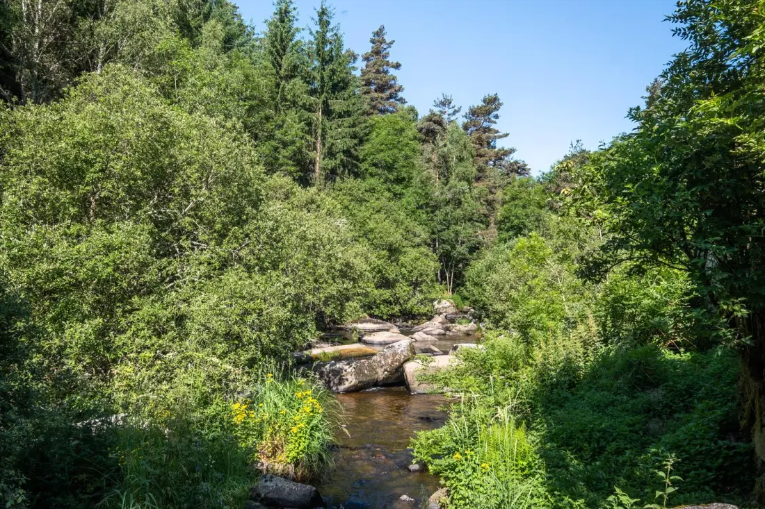 Gîte de France Le moulin du chambon 6/8 pers 3 épis
