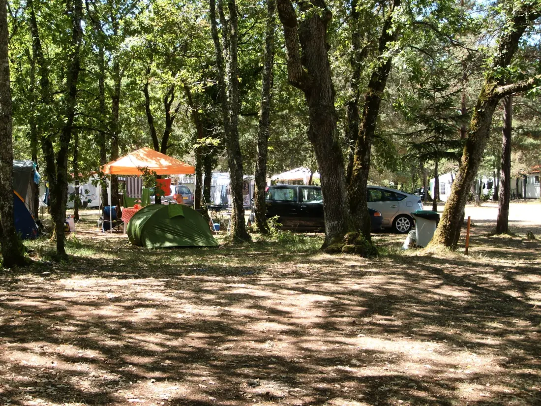 CAMPING LA FORET 3 étoiles★★★
