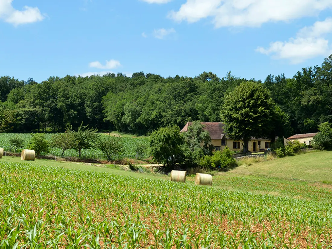 Maison de Vacances PEZULS 5
