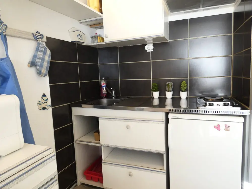Location de Vacances Piau-Engaly 44