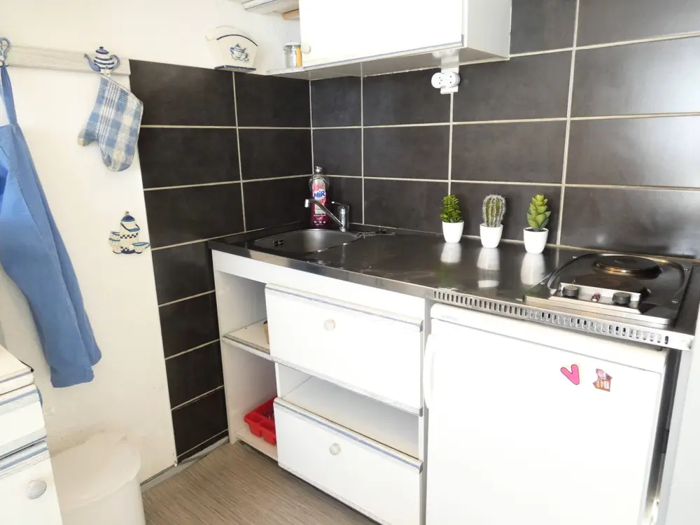 Location de Vacances Piau-Engaly 44