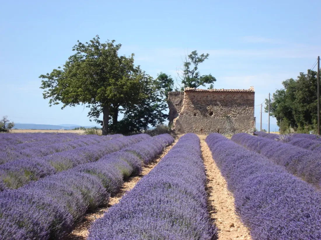 Maison de Vacances Pierrevert