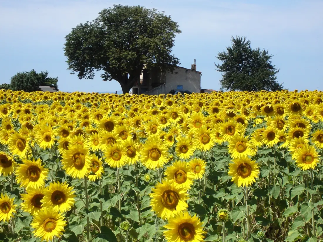 Maison de Vacances Pierrevert