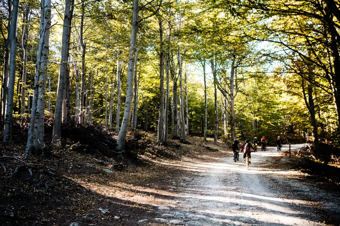 Camping dei Fiori 2 étoiles★★
