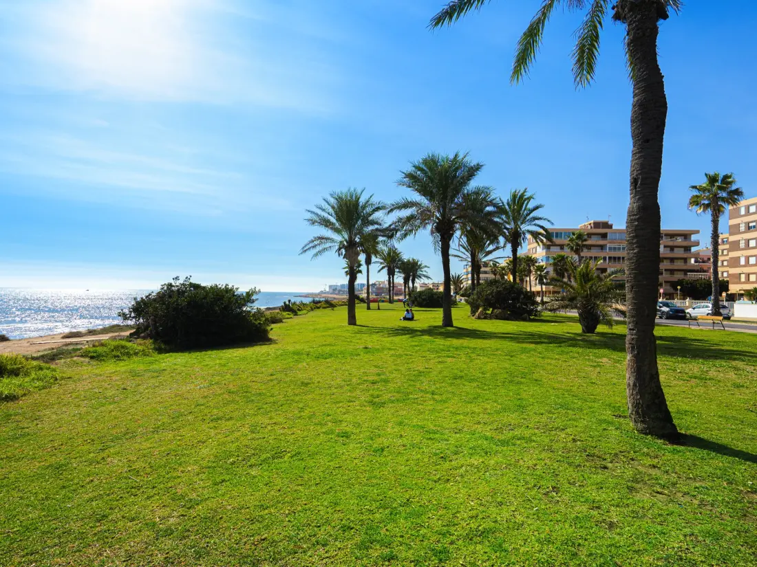 Location de Vacances Pilar de la Horadada 15