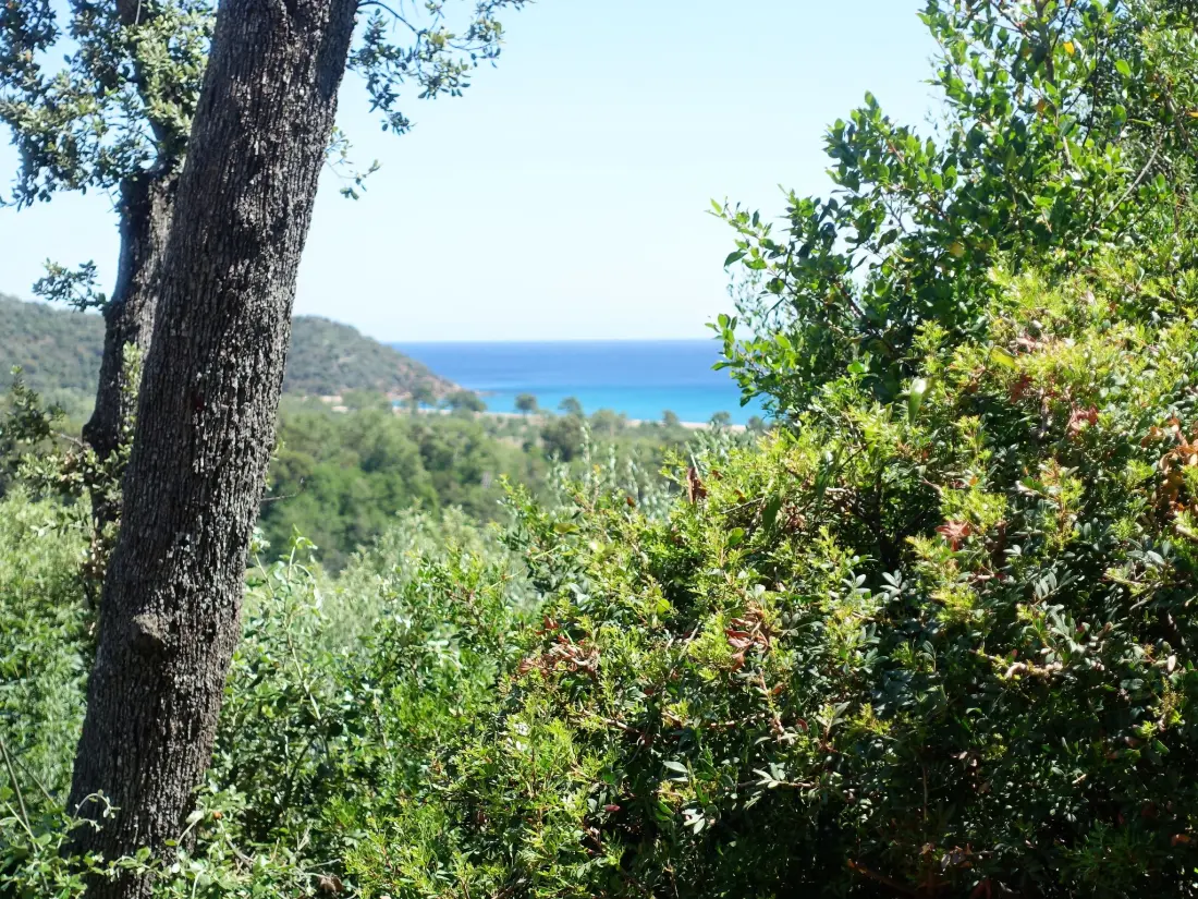 Maison de Vacances Pinarellu