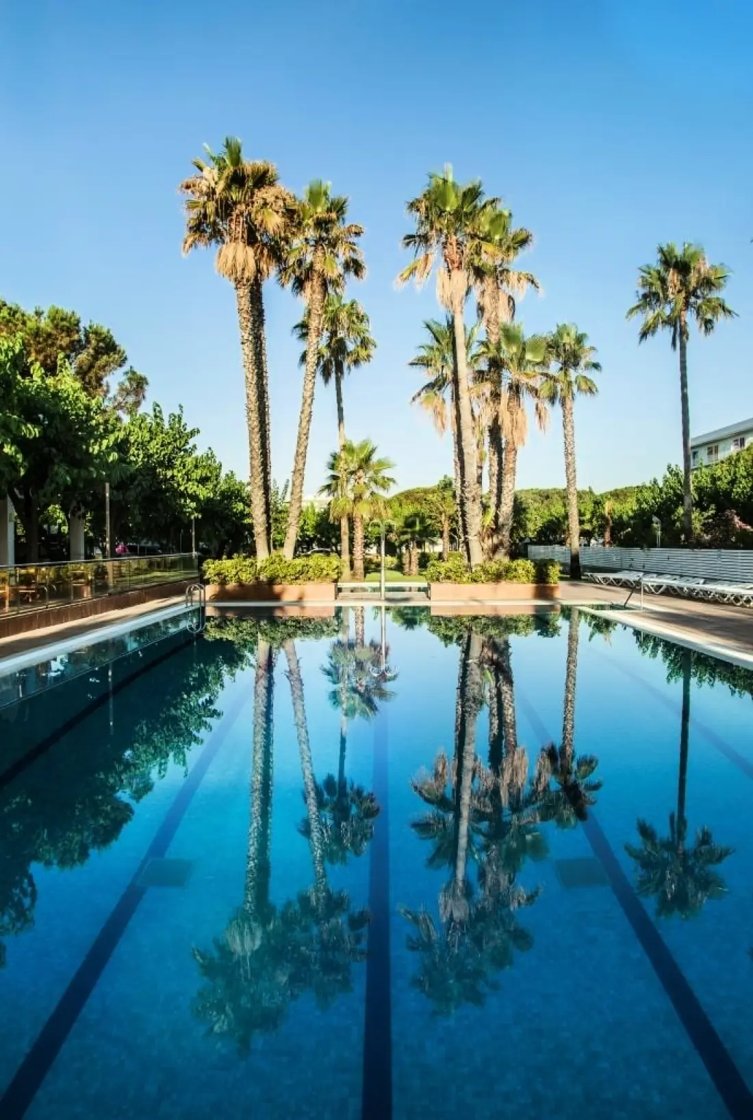 Camping Bellsol 2 étoiles★★