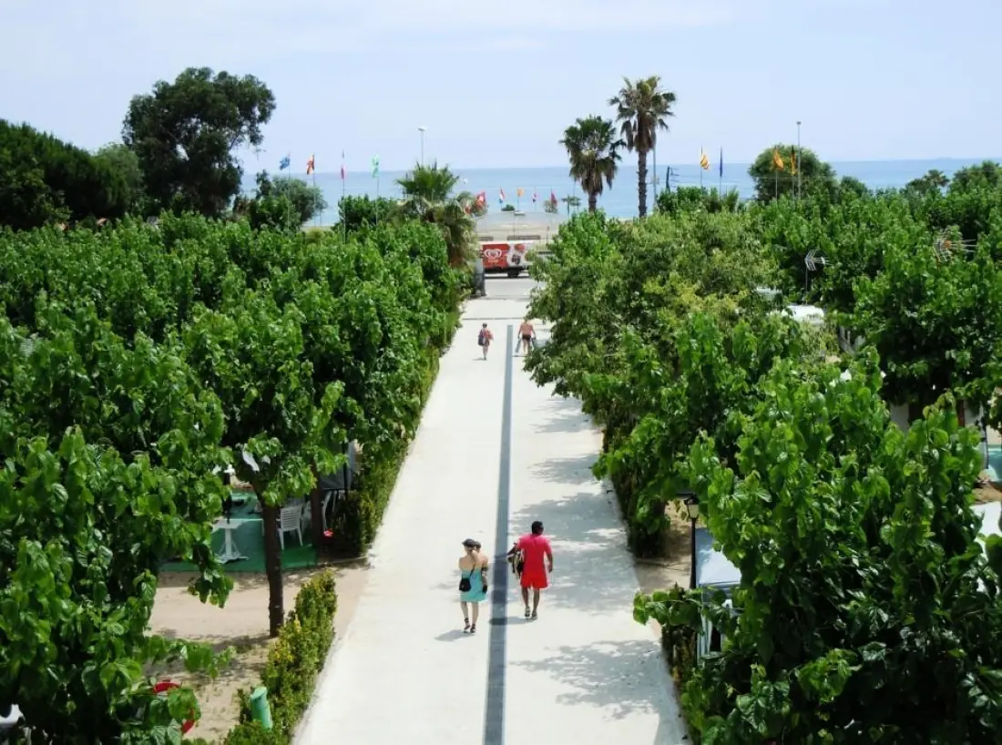Camping Bellsol 2 étoiles★★