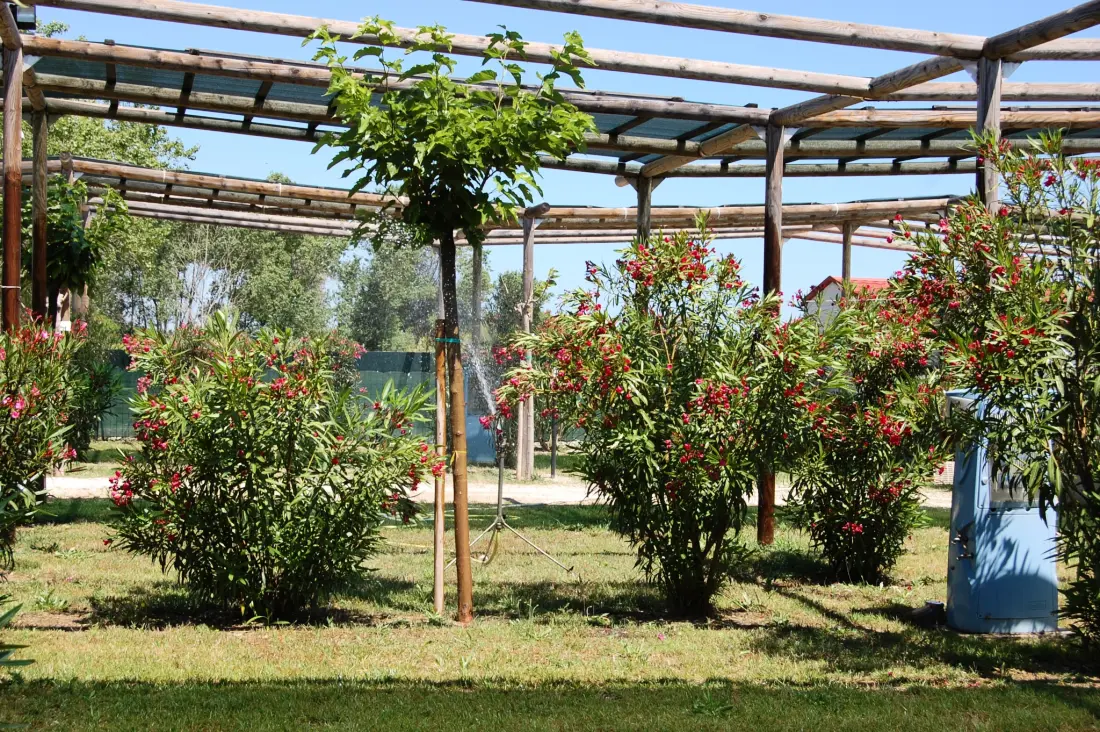 Heliopolis Camping & Village 4 étoiles★★★★