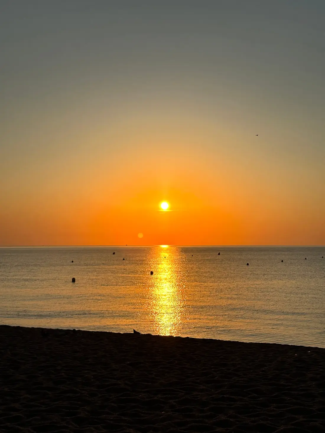 Camping Vall d'Or 3 étoiles★★★