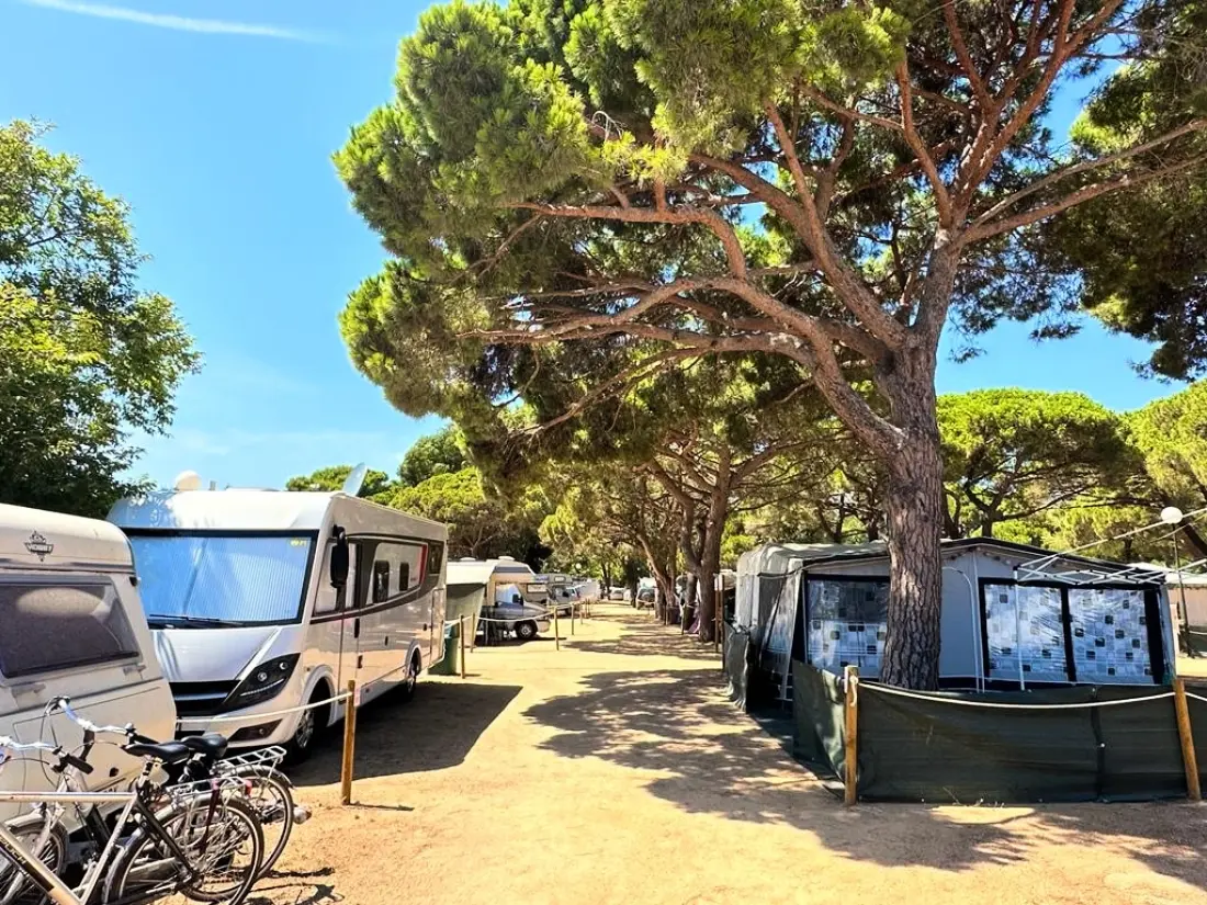 Camping Vall d'Or 3 étoiles★★★