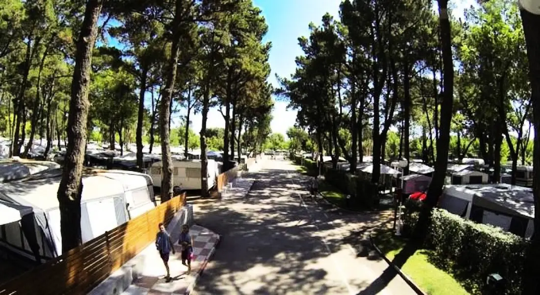 Camping El Delfin Verde Platja d'Aro