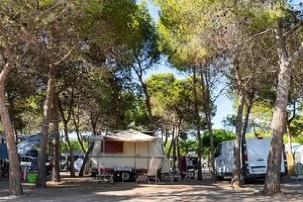 Camping Sandaya Valencia 4 étoiles★★★★