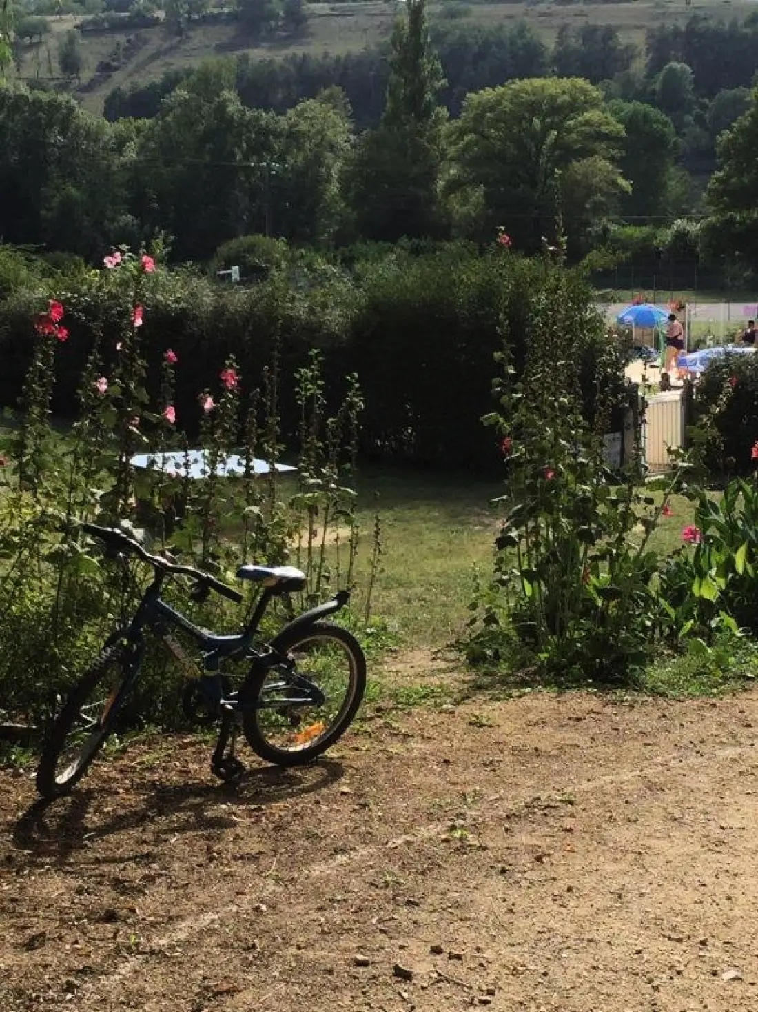 Camping Domaine du Lac3 étoiles★★★