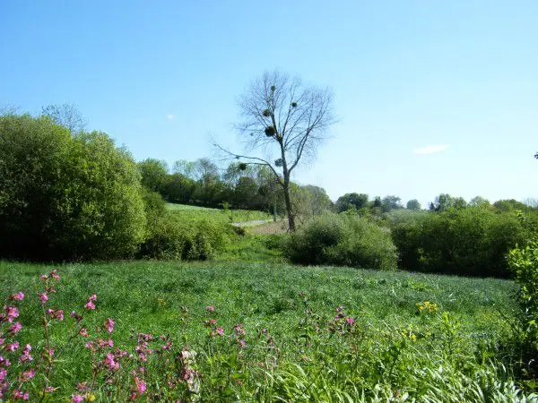 Gîte de France Le jardin 3 épis
