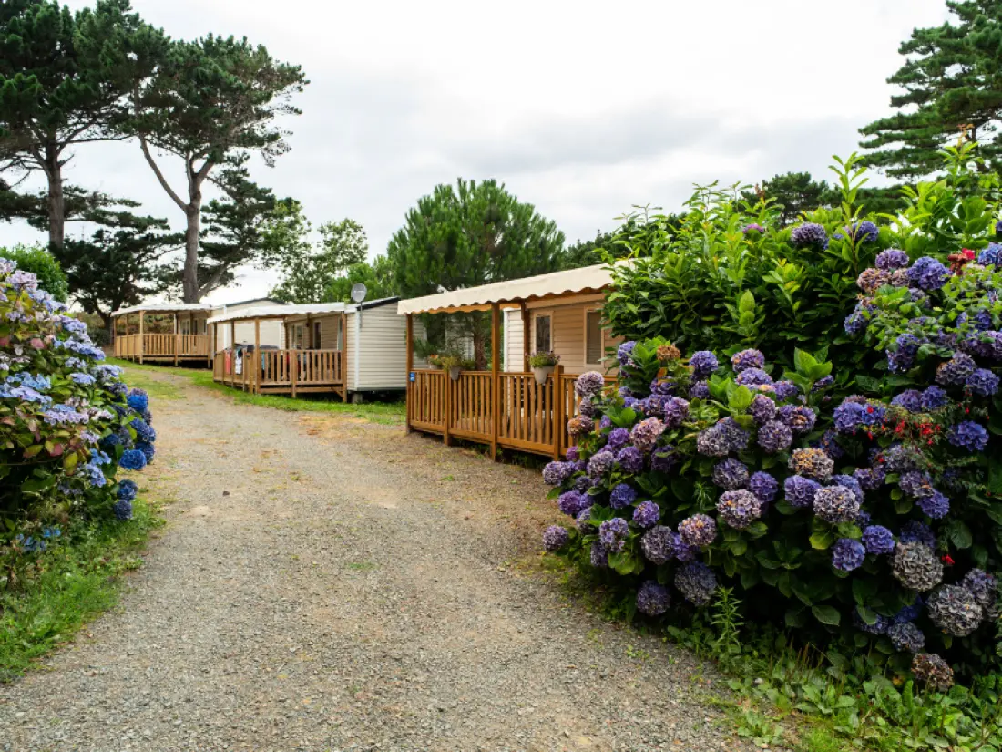 Flower Camping Port de la Chaîne 4 étoiles★★★★