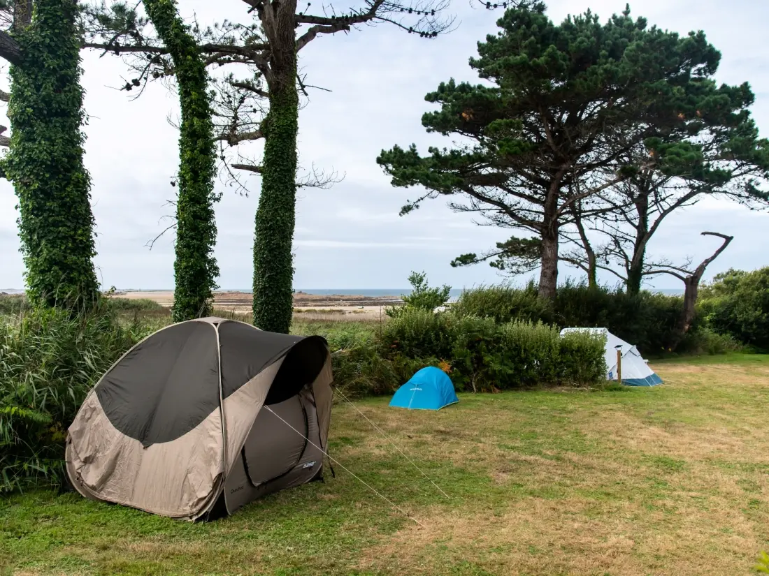 Flower Camping Port de la Chaîne 4 étoiles★★★★