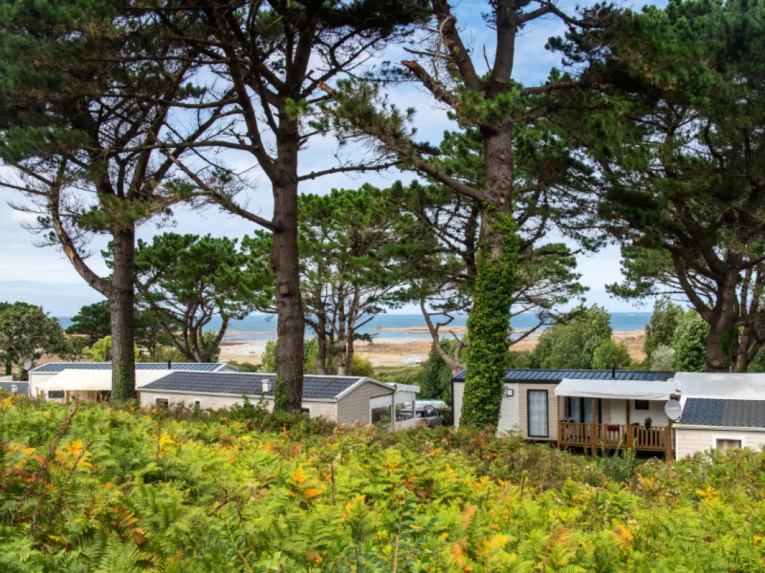 Flower Camping Port de la Chaîne 4 étoiles★★★★