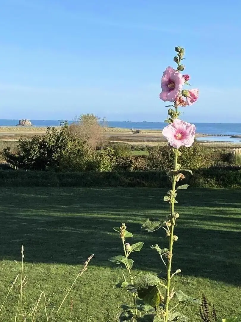 Gîte de France La fringante 4 épis