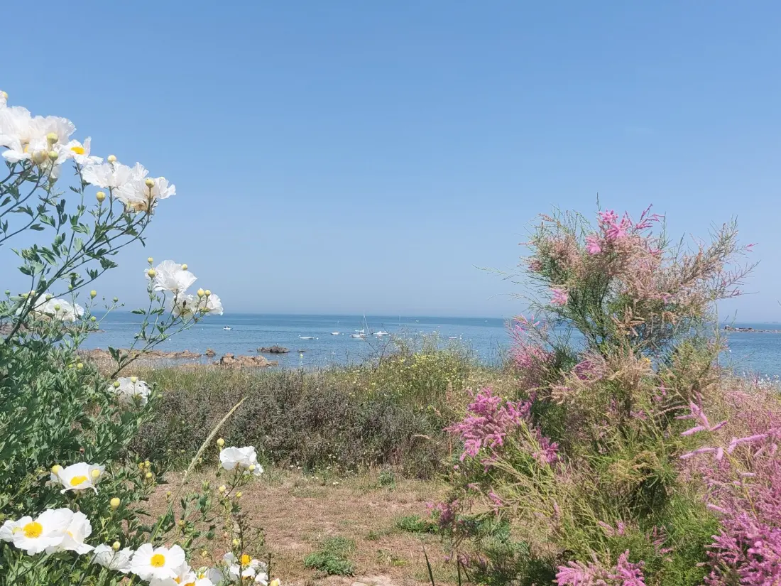 Maison de Vacances Pleubian