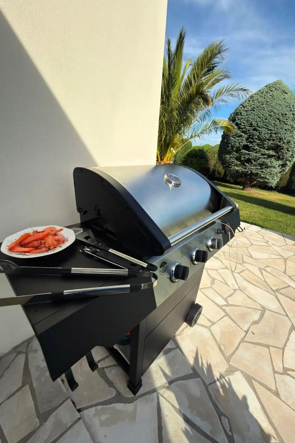 Maison de Vacances Pleumeur Bodou