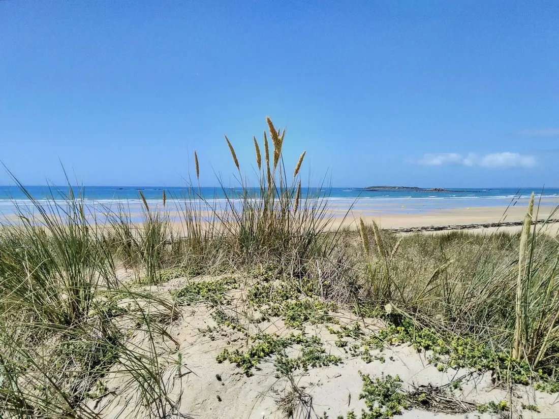 Location de Vacances Ploemel 20