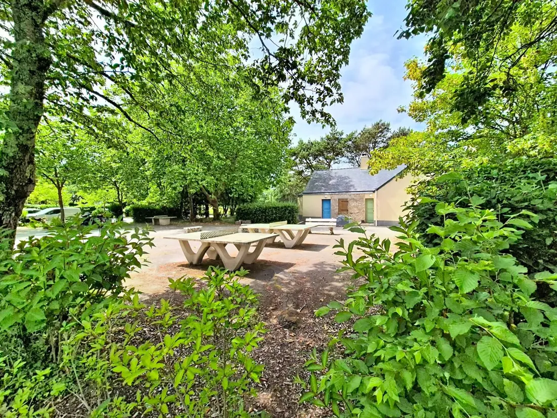 Location de Vacances Ploemel 20