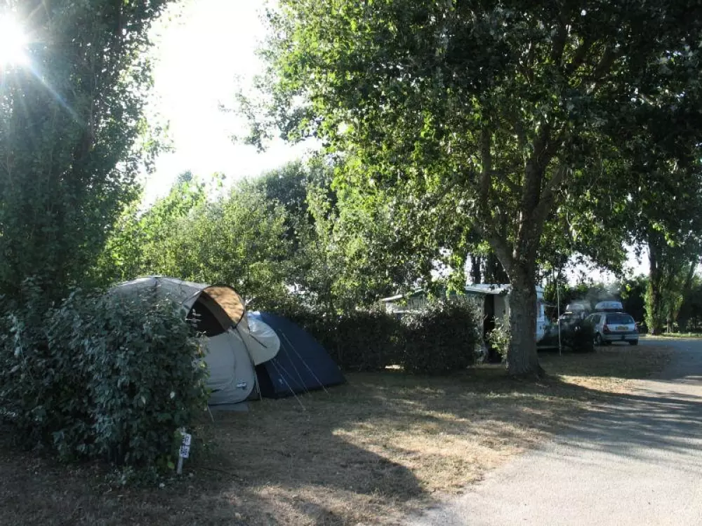 Flower Camping La Pointe du Talud 4 étoiles★★★★