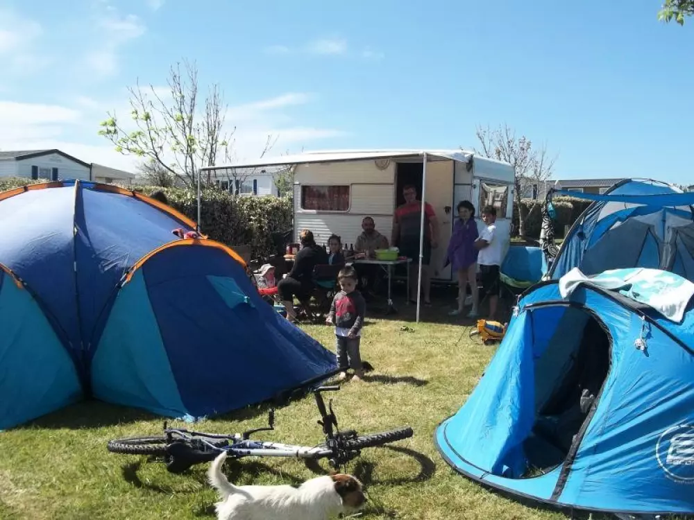 Flower Camping La Pointe du Talud 4 étoiles★★★★