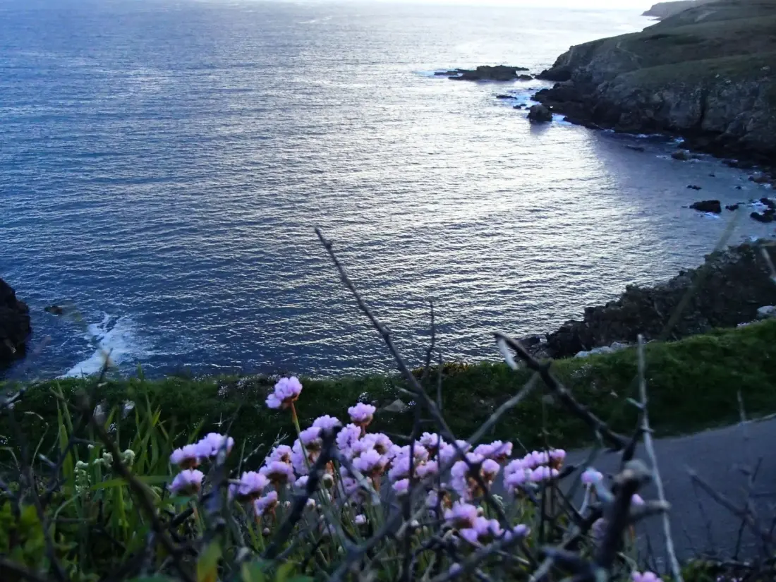 Maison de Vacances Plogoff
