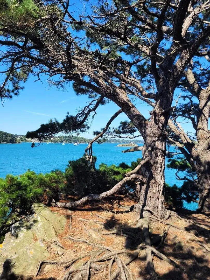 Gîte de France Les pommettes 4 épis