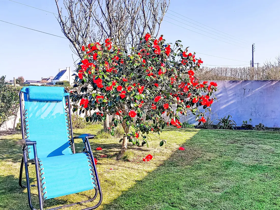 Maison de Vacances Plouescat