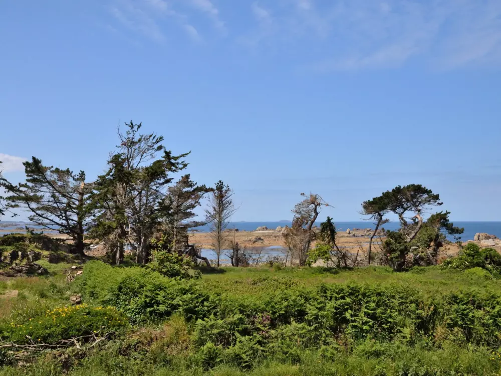 Maison de Vacances Plougrescant