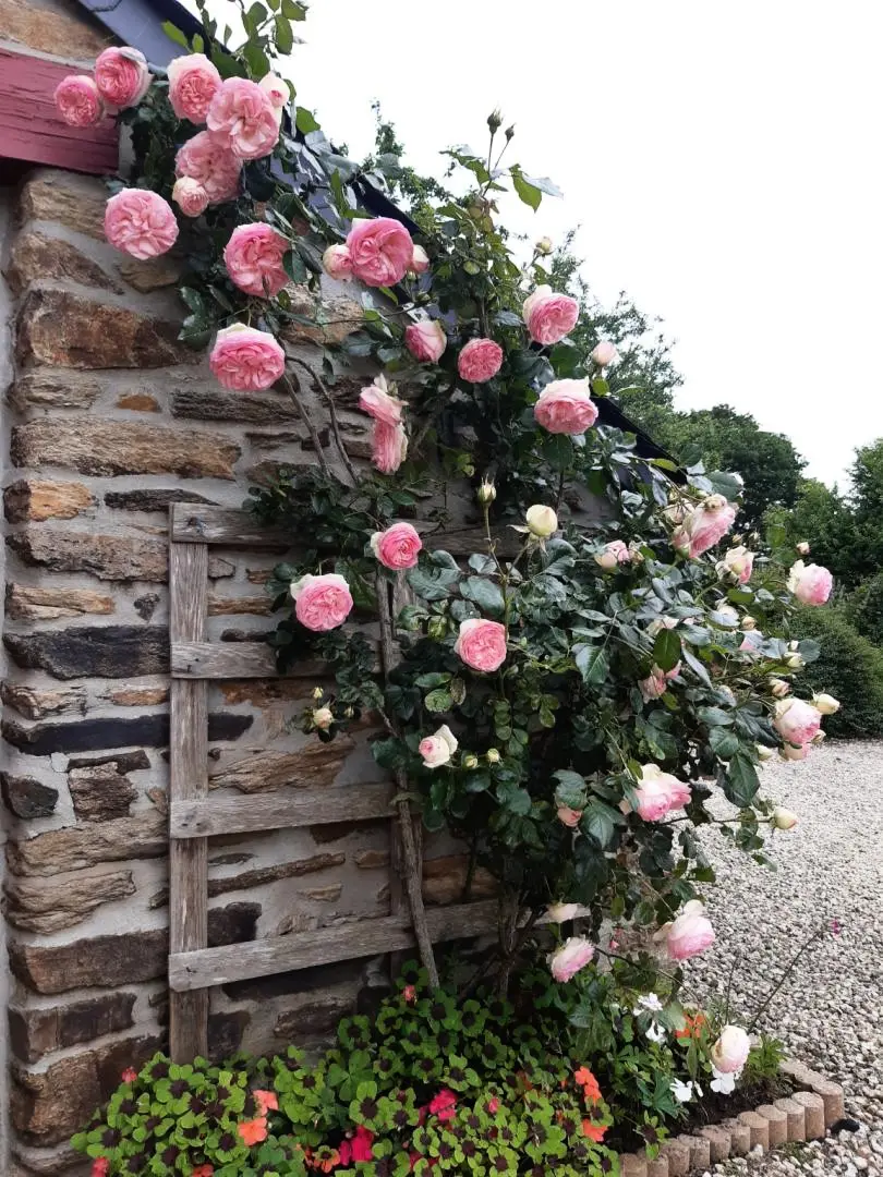 Gîte de France Le beau séjour 3 épis