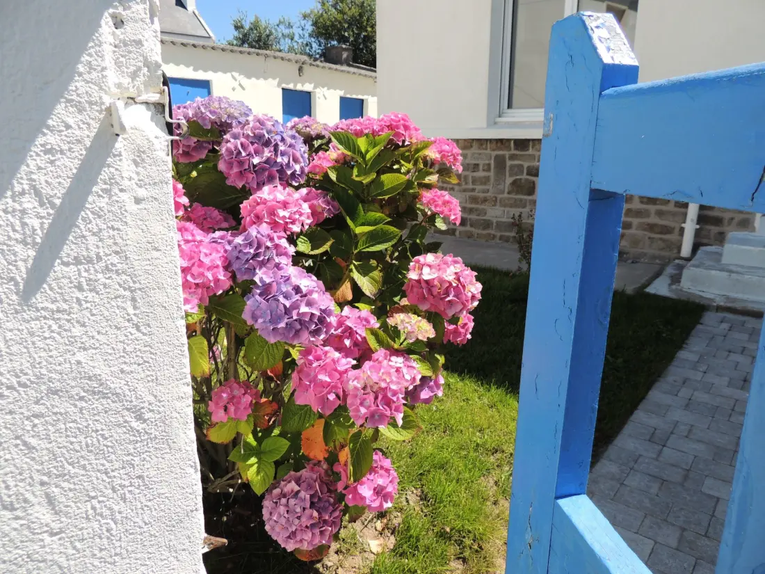 Maison de Vacances Plouguerneau