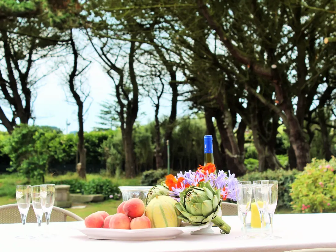 Maison de Vacances Plouguerneau