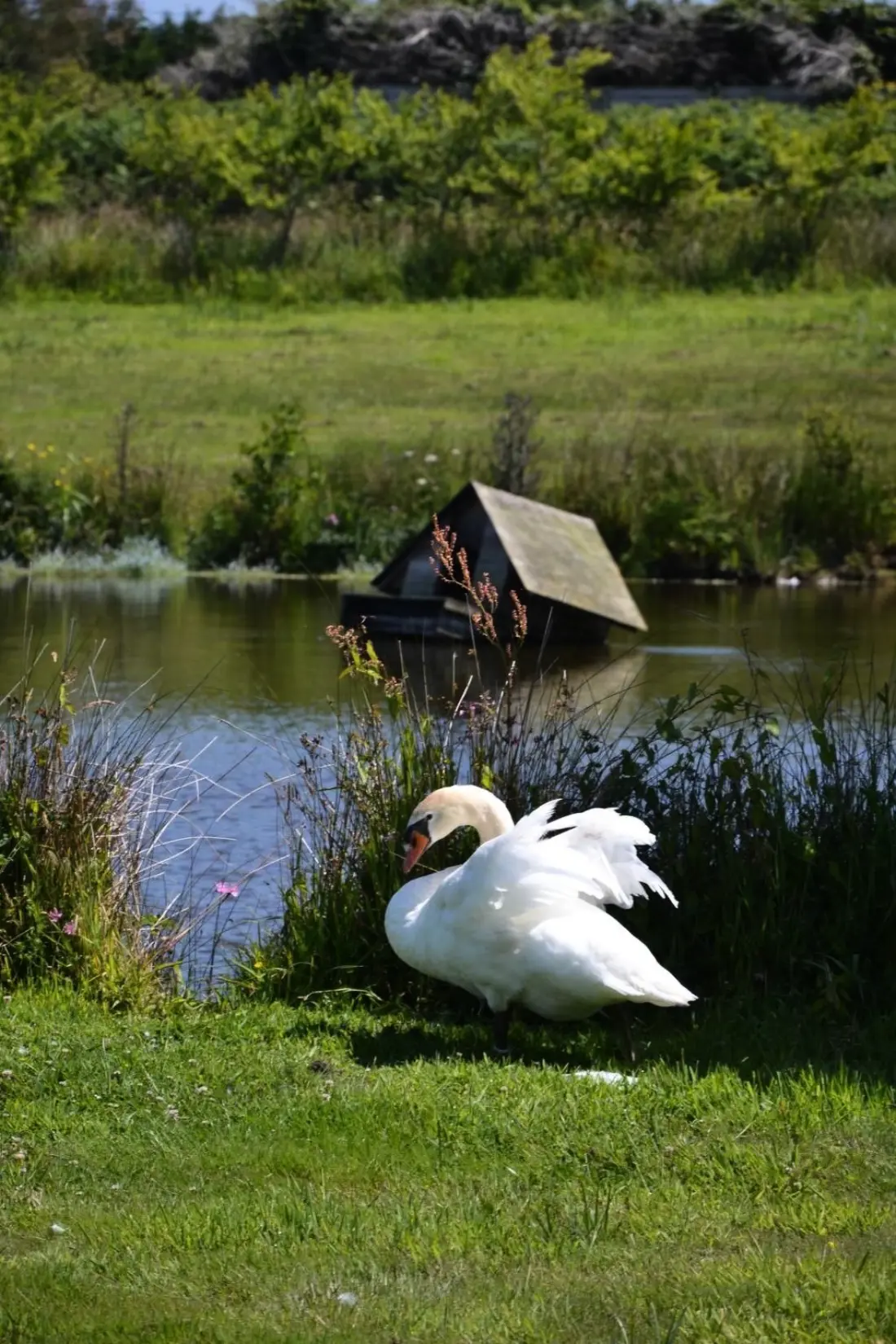 Maison de Vacances Plouguerneau